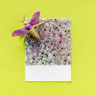 confetti decoration with insect