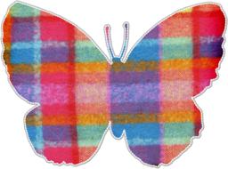 multicolored checkered butterfly