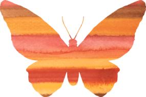 striped orange butterfly painted in watercolor