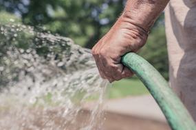 male person Watering Garden with Hose