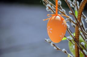 orange egg is hanging on a willow branch