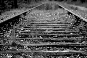 black and white, abandoned railway