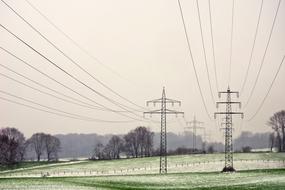 Landscape Power Poles