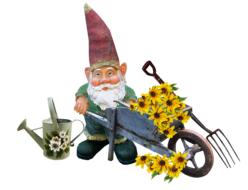 Gnome Working with flower