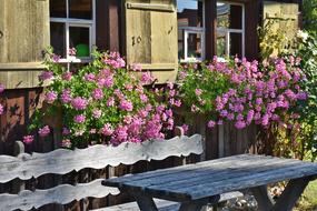 floral decorations and wooden bench in front of the house, Swabia museum