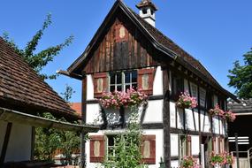 Farm Swabia