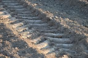 Tractor wheel traces on the earth