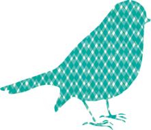 Beautiful, green and white, patterned bird, at white background, on clipart