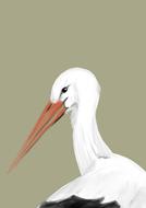 white stork bird as a drawing