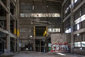 abandoned plant in graffiti