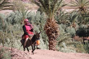 Outdoors Desert