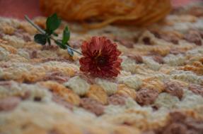 flower on the knitted surface
