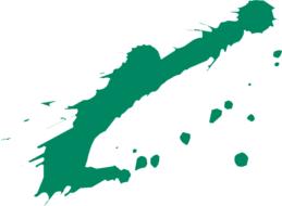 green splash lines drawing