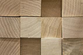 Wood Texture structure