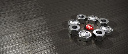 image of a ladybug in the center of a metal nut