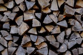 Wood Pile Firewood