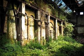 abandoned old building in the forest