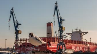 Ship Port red