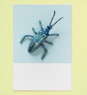 Clipart of a metal beetle