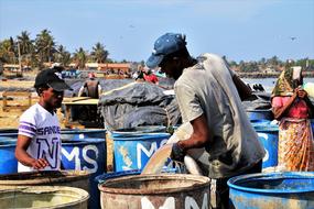 The Fishermen Two