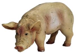 Pig Figure Ceramic