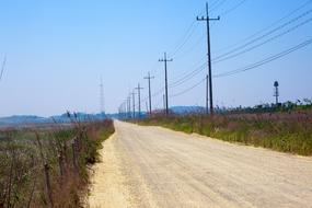 country road along electric poles