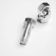 Metal Screw and two Nuts
