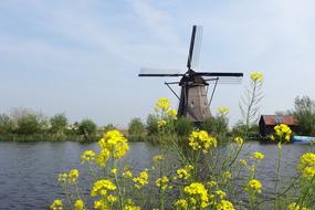 waterfront old windmill