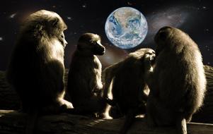 planet of the apes