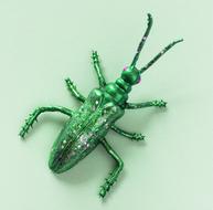 green Insect Nature