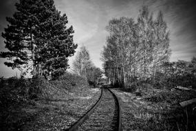 Lost Places Gleise Railway
