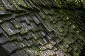 Layer Of Pebbles Wood