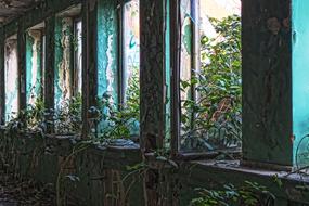 perfect Abandoned Old windows