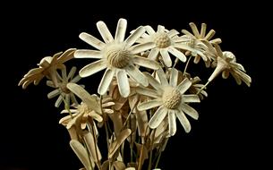 goodly Nature Flower Plant