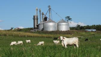 perfect Agriculture Farm Industry