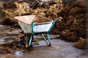 empty weathered wheelbarrow at pile of straw