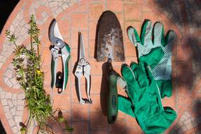 Scissors and Pruning and Shears Flowers