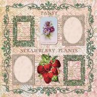 scrapbook elements drawing