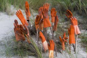 protective Gloves on sticks in sand