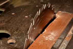 Saw Blade wood