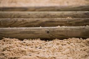 wooden logs in the sand