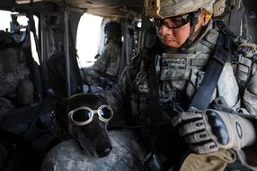 Dog Goggles Military and man