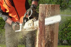 person cutting Wood with Chainsaw
