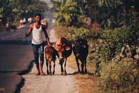rural area in India