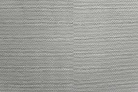 White grey Wall Texture