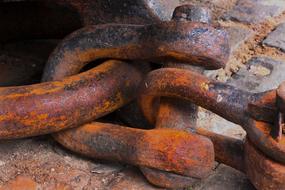 Shackle Rusty Chain