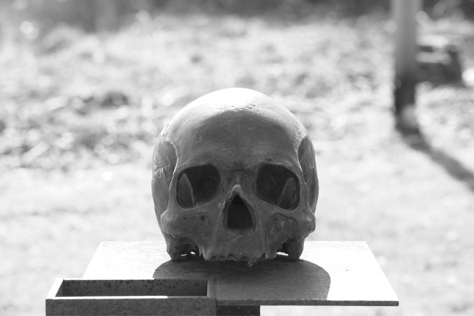 Skull Head monochrome