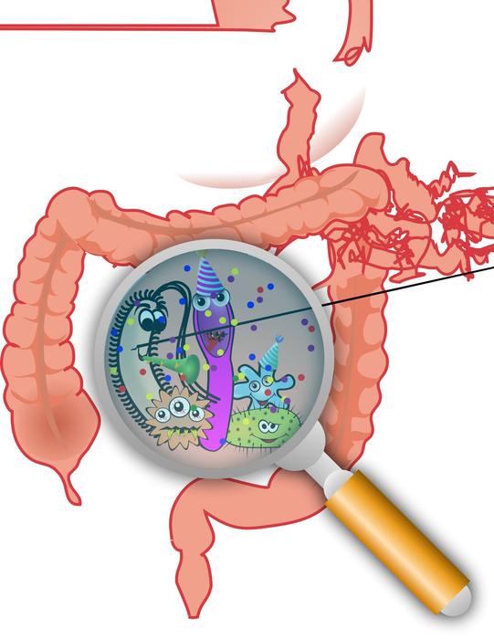 treat the gastrointestinal tract under a magnifying glass