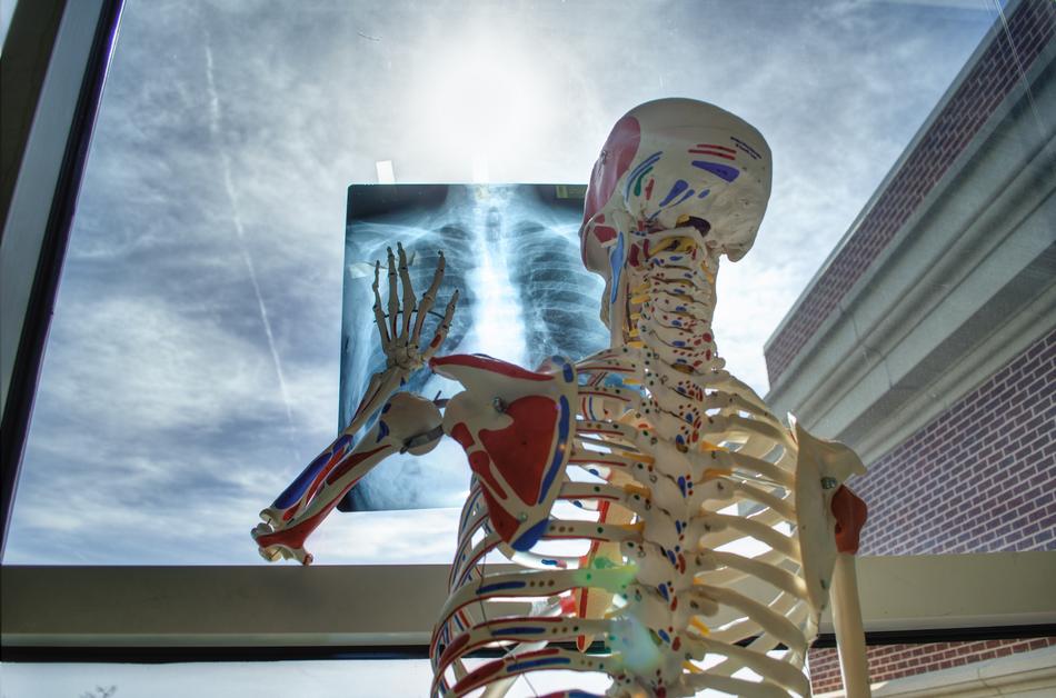 Skeleton Medical Technology window