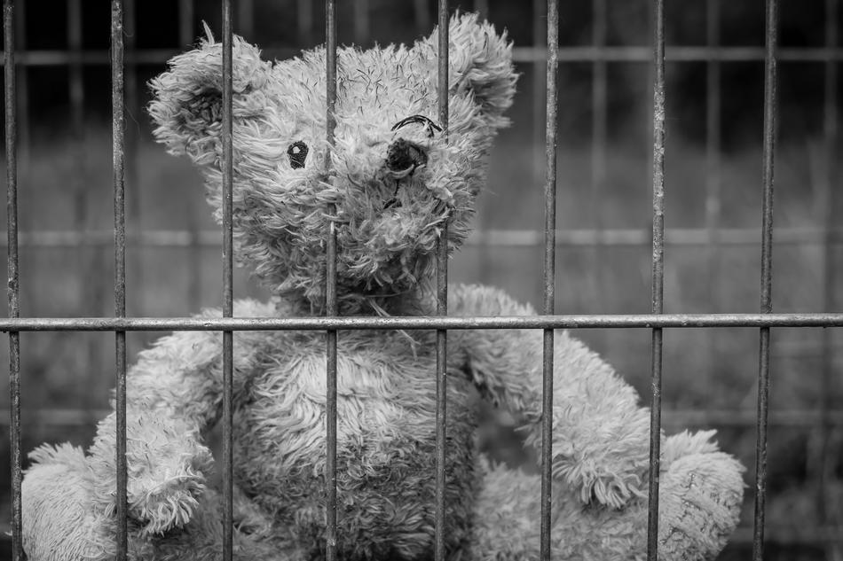 Teddy Bear behind grates